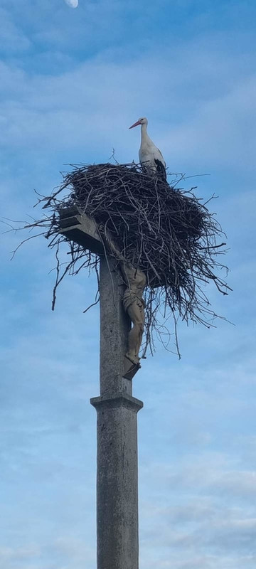 [Image: Crane.jpg]