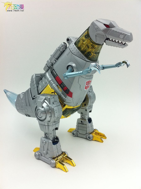 202308636dnrq636myyg6g