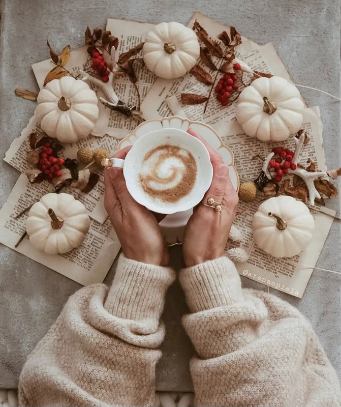 Screenshot_20231210_174344_Instagram