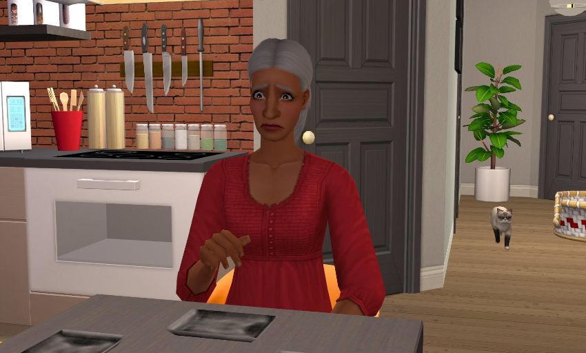 Sims2-EP9-2021-02-12-20-27-10-22