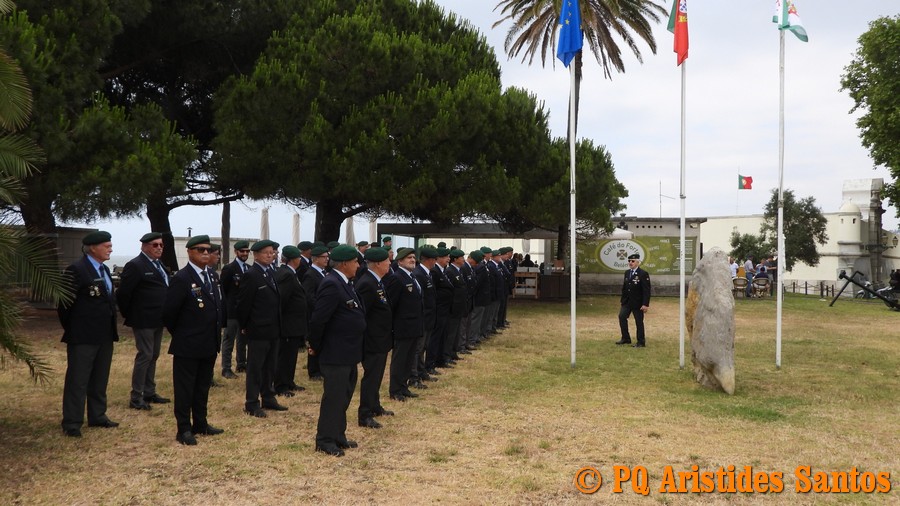 505253264-2426581557724021-6258839238382224082-n