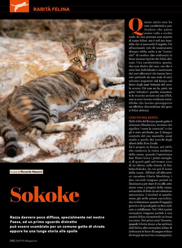 Ga Ma Ago-Set 2025 (5)