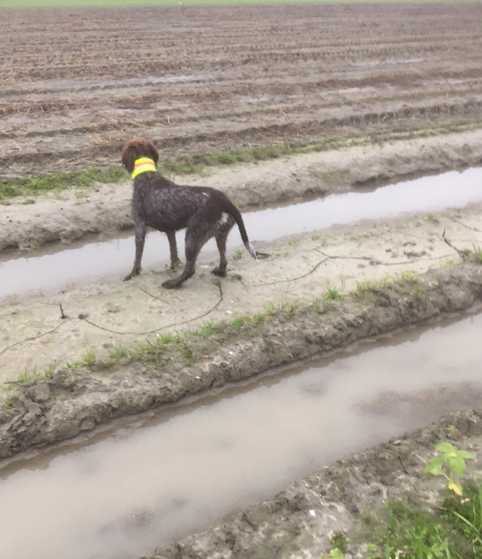 20214-09-11 Jacht Claire hazen checken IMG_4383 (002)