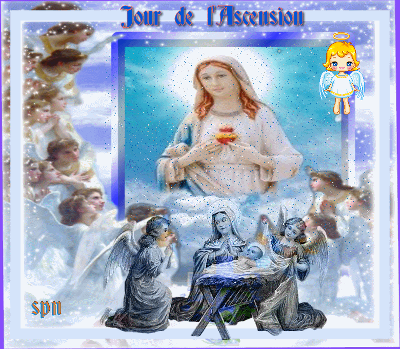 ASCENSION-2022-GIF