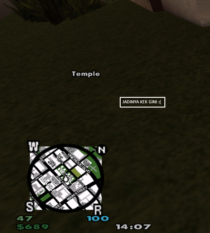 HUD-SS.png
