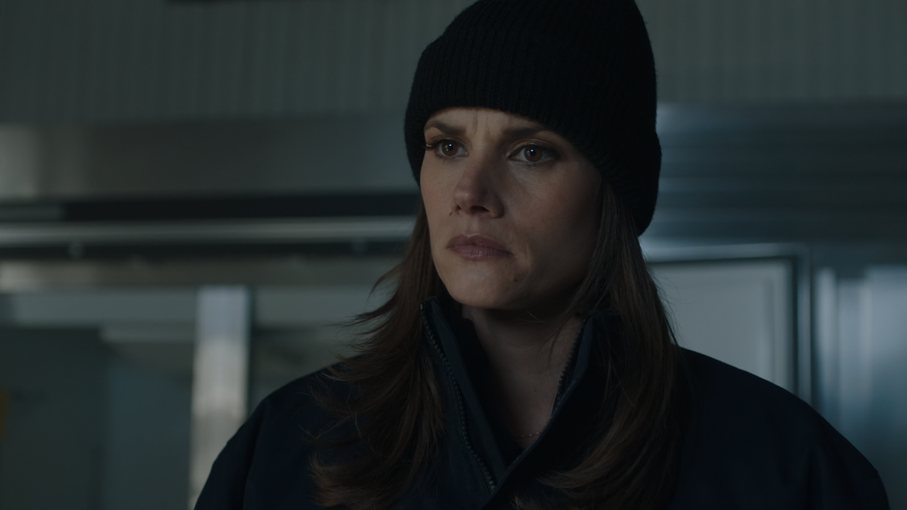 FBI.S03E05.Clean.Slate.1080p.10bit.AMZN.WEB-DL.DDP5.1.HEVC-Vyndros.mkv_snapshot_09.20_[2021.01.29_00