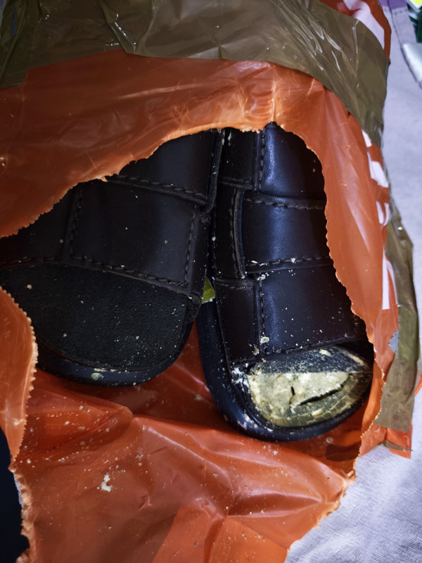 0 02 05 e6626deaae5129674f2edda93d6fcc4347ccaa780635ce62280489b4d4c287cc bd0ad7c0fb3f65f