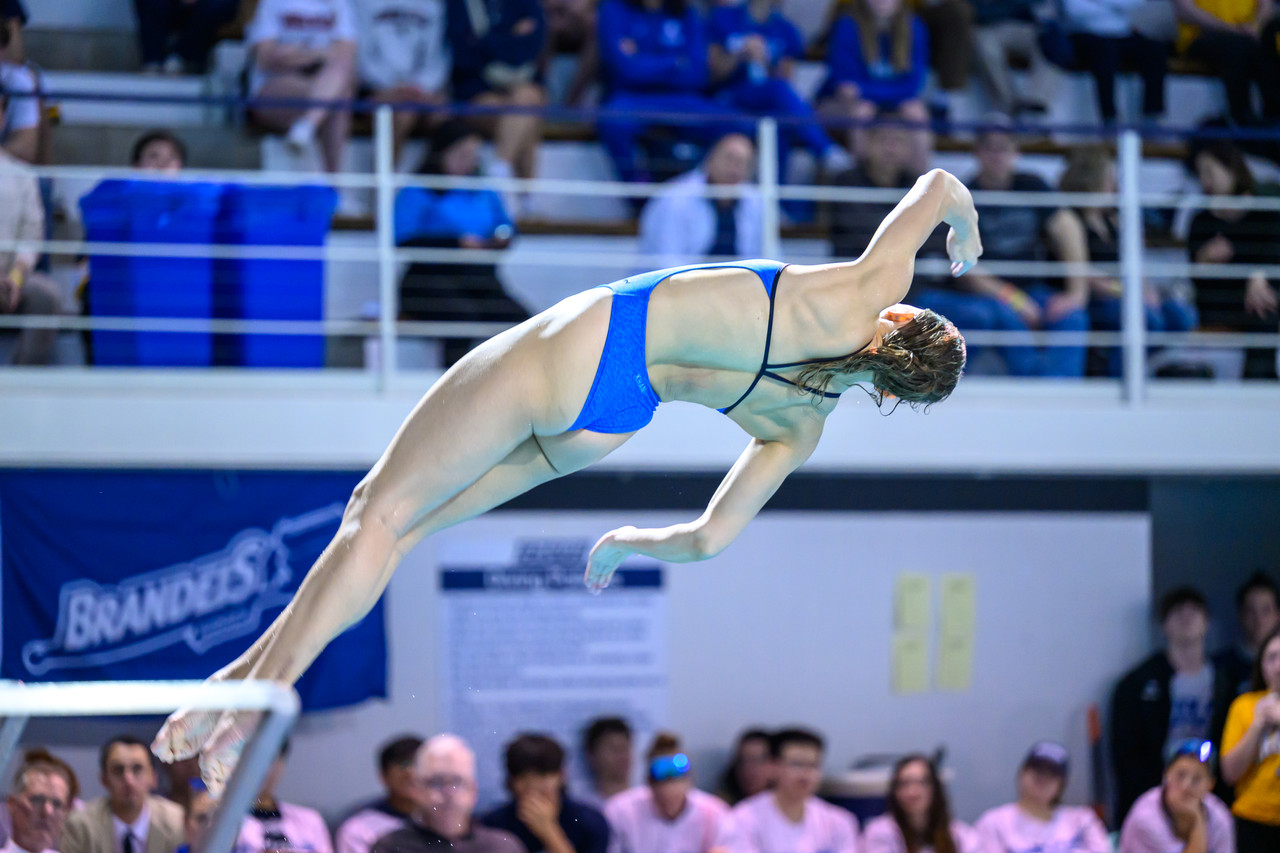 swimmeetcompetition268qqqqqqqqqqqqq