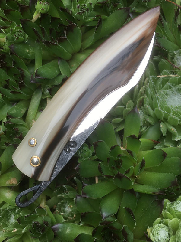 8412C549-8F70-4054-8B1E-4CDAC44456BF