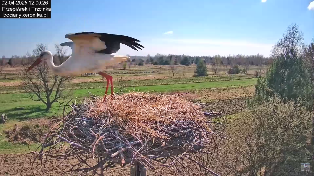 02042025krotkawizytabocka_34