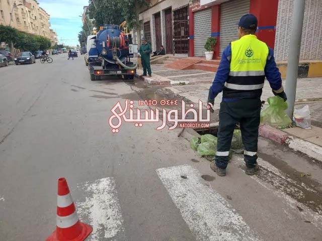 598234420-863953369821596-2906436540838593291-n