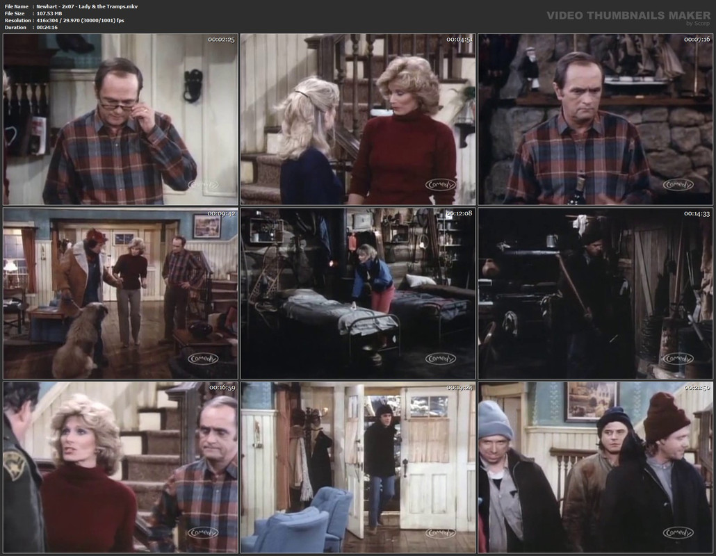 Newhart - 2x07 - Lady & the Tramps.mkv