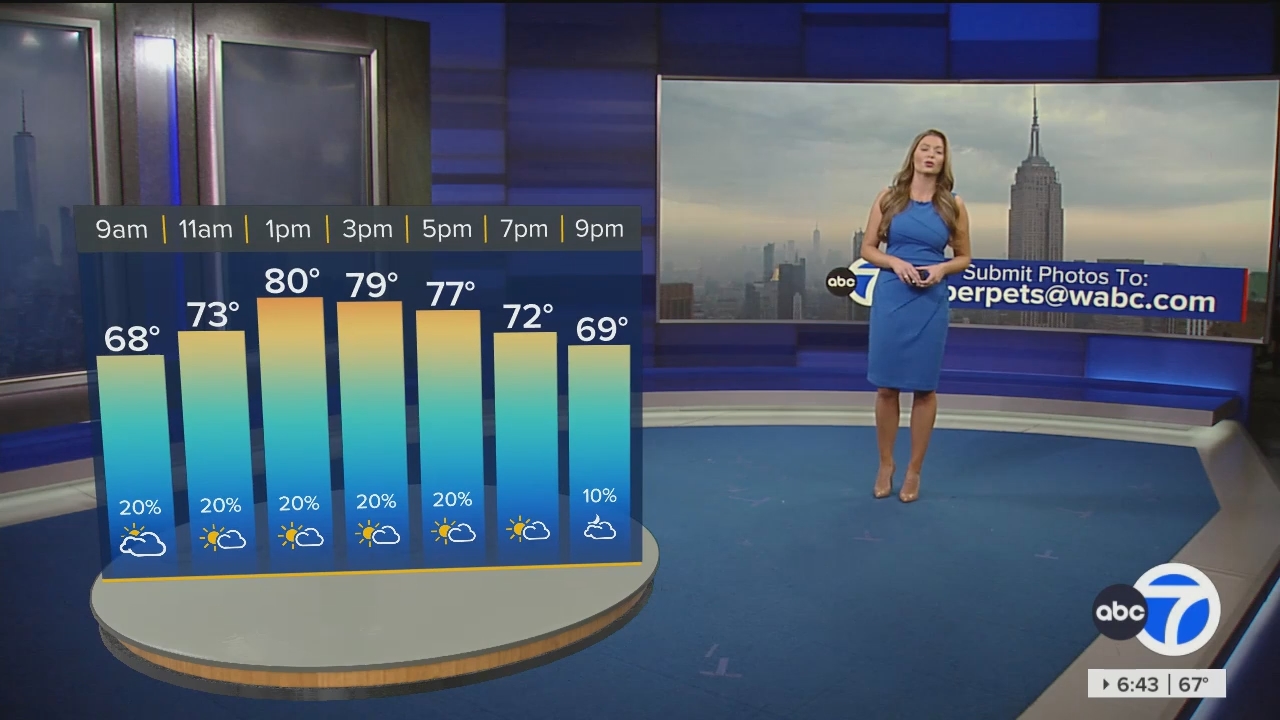 Eyewitness News Sunday Morning_20240526_11001230.ts_snapshot_00.45.01.949