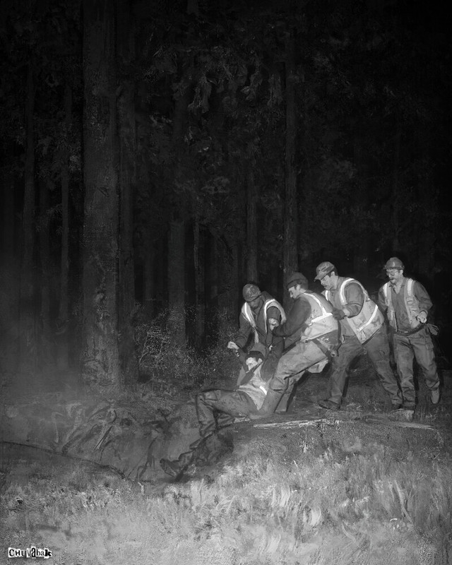 singlebungle1472-20221202-221248-000