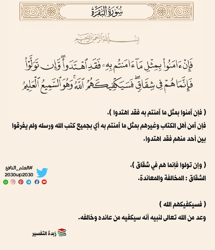 IMG_20241125_214041_606