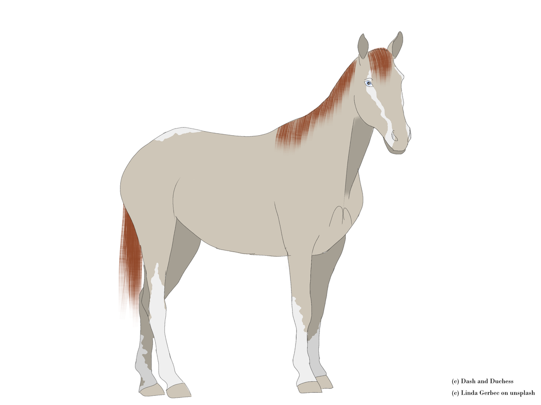 perlino-adult.png