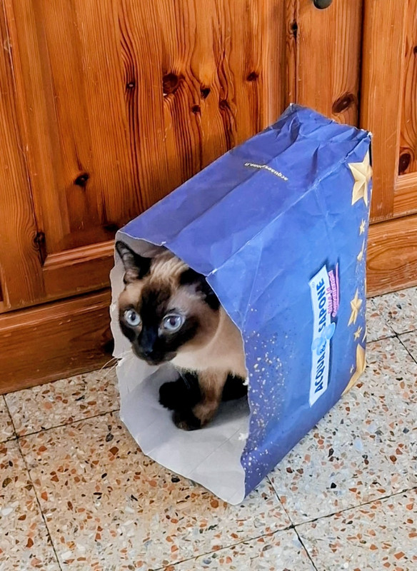 Screenshot 20260419 155601 Gallery 2