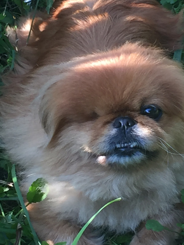 9EB0462A-9262-44A9-AD82-7841644EAB2D