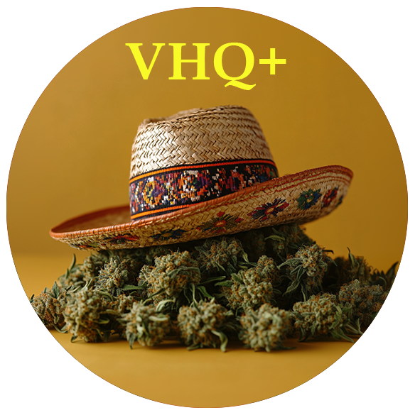 dsd-vhq-tr.png