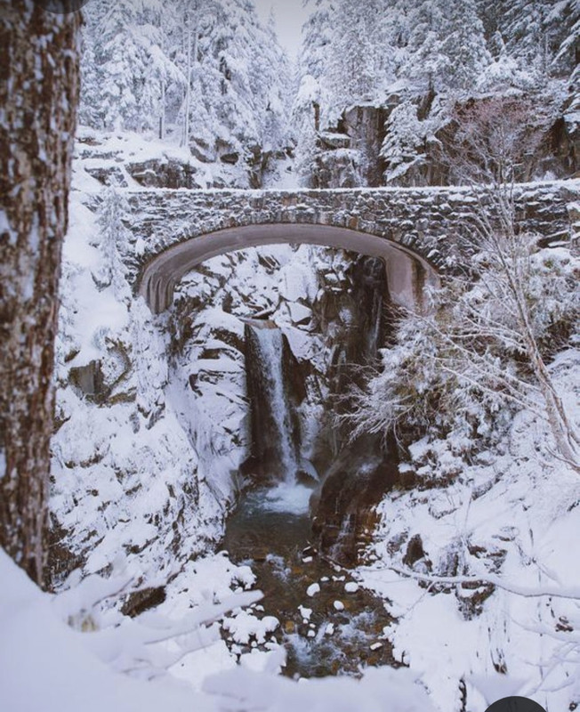 Screenshot_20231019_205059_Pinterest