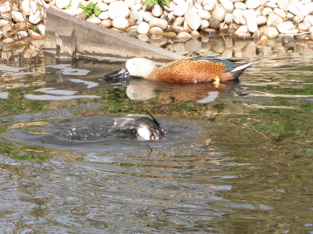 6E2C2540-7B26-405D-95DA-CDABFE5B8A2F