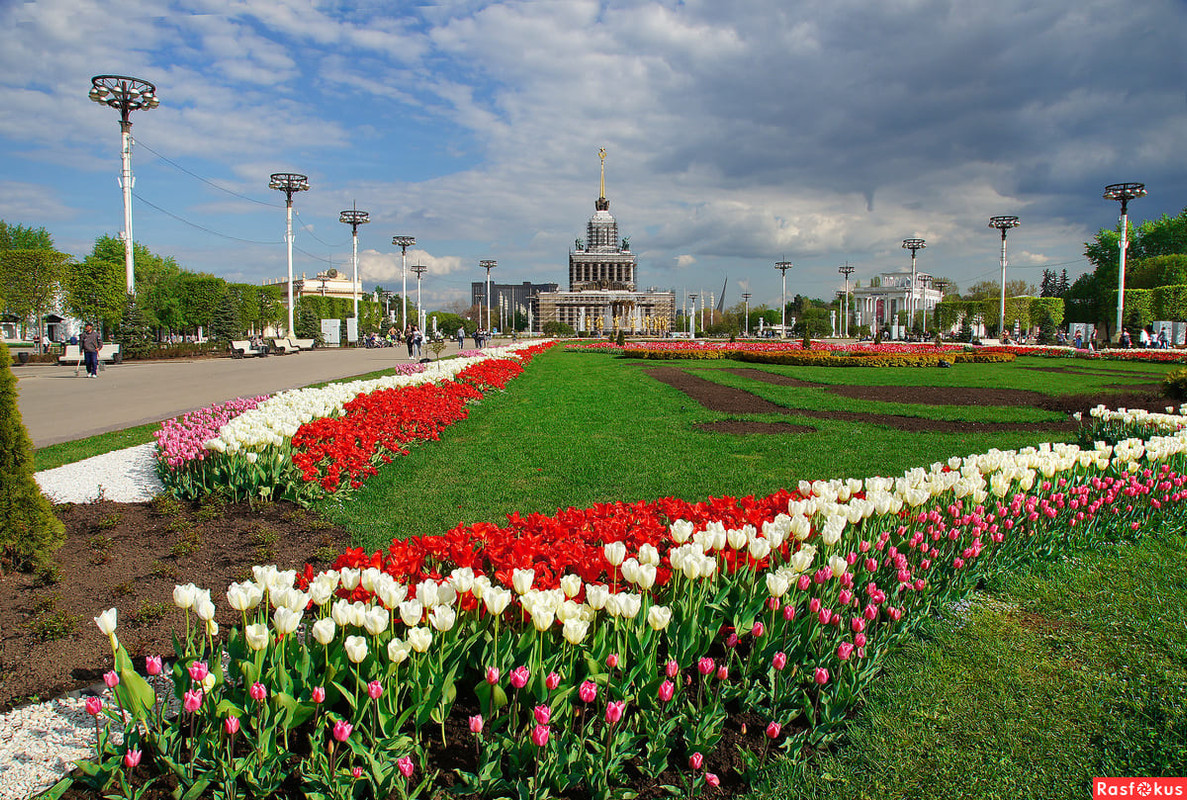 вднха