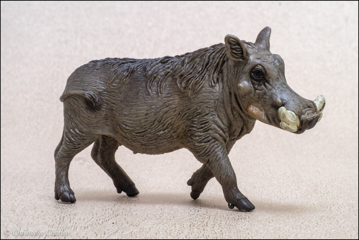 The 2021 STS Wild life Figure of the Year. Make your choice ! Schleich_14843_Warthog