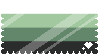 transouthermasc