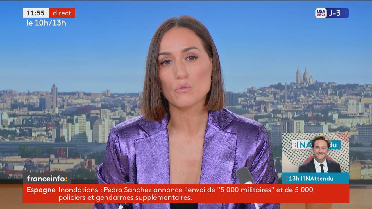 Le 10h-13h 2ème partie (Franceinfo)_2024_11_02_10_50_91.ts_snapshot_00.06.06.559