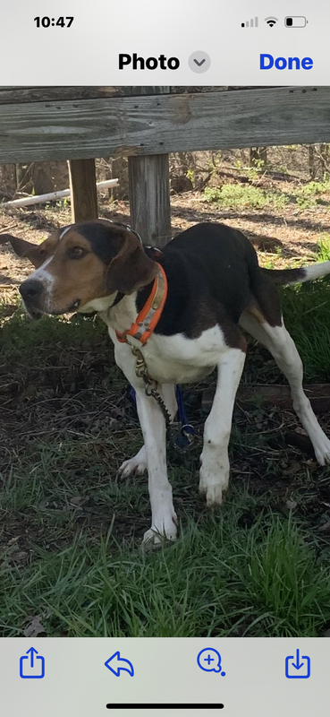 892858EB-D6FE-42FC-AAEF-804D7586678A