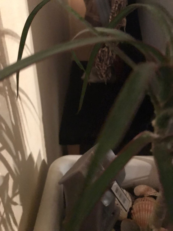 83DA4F8E-F65F-4591-95EC-03BA8CC8F6CC