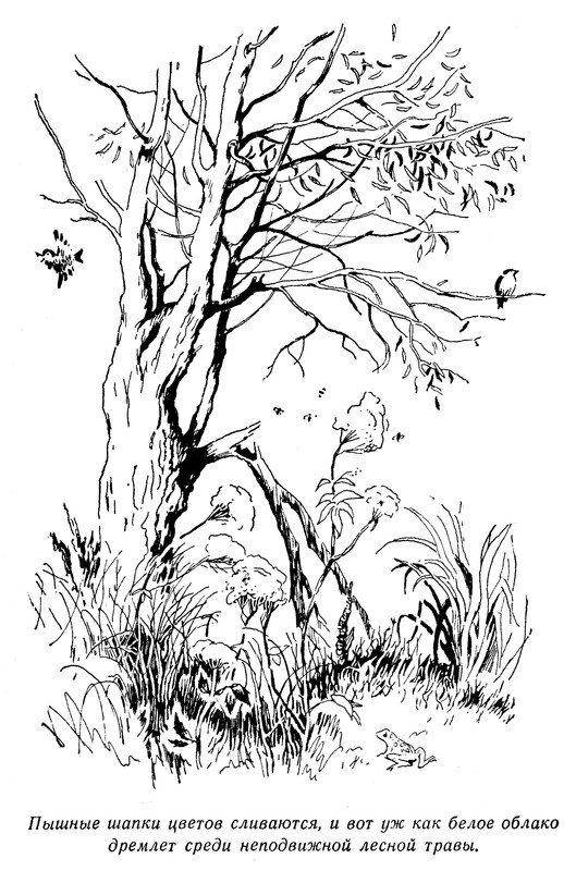 p0038