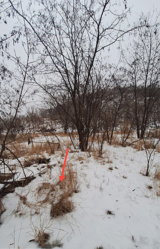 photo 2026 02 13 04 48 19