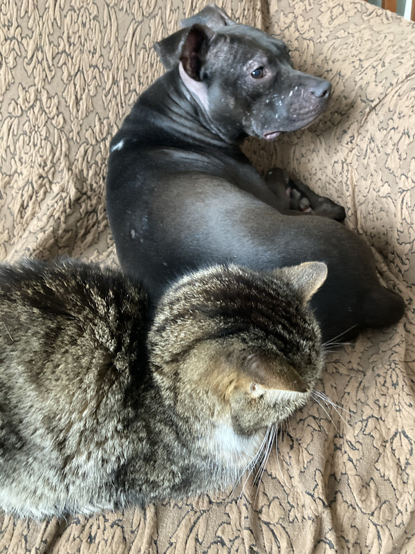 14010322-940F-4A13-AFAA-5FA03726EEC8