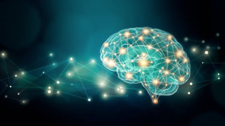 Neuroplasticity: The Ultimate Brain Rewiring Formula 3.0 ®