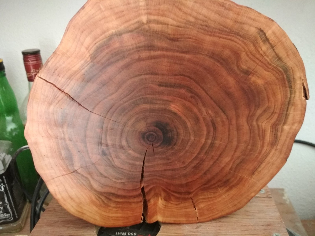 1750E864-17EF-45D6-BABB-9FB7472C9590