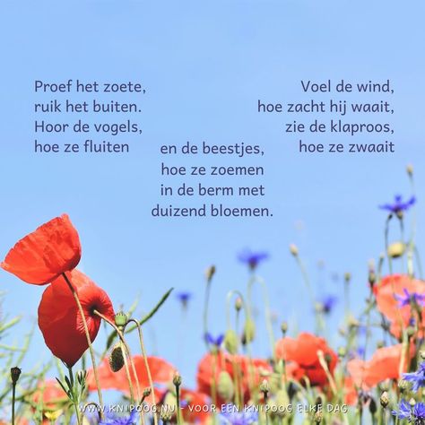 54b07d7f210ffbb2370a4fff9ef47e68