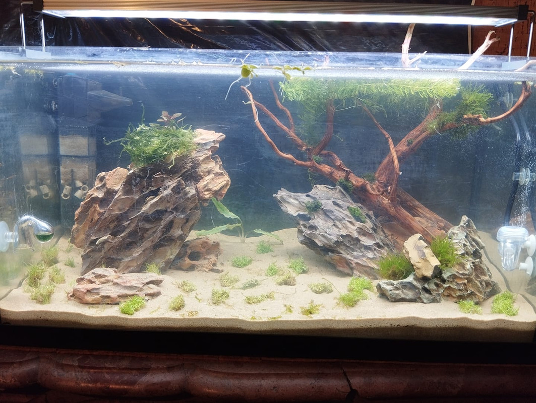 438109505_8052806531451388_6038697493316470358_n