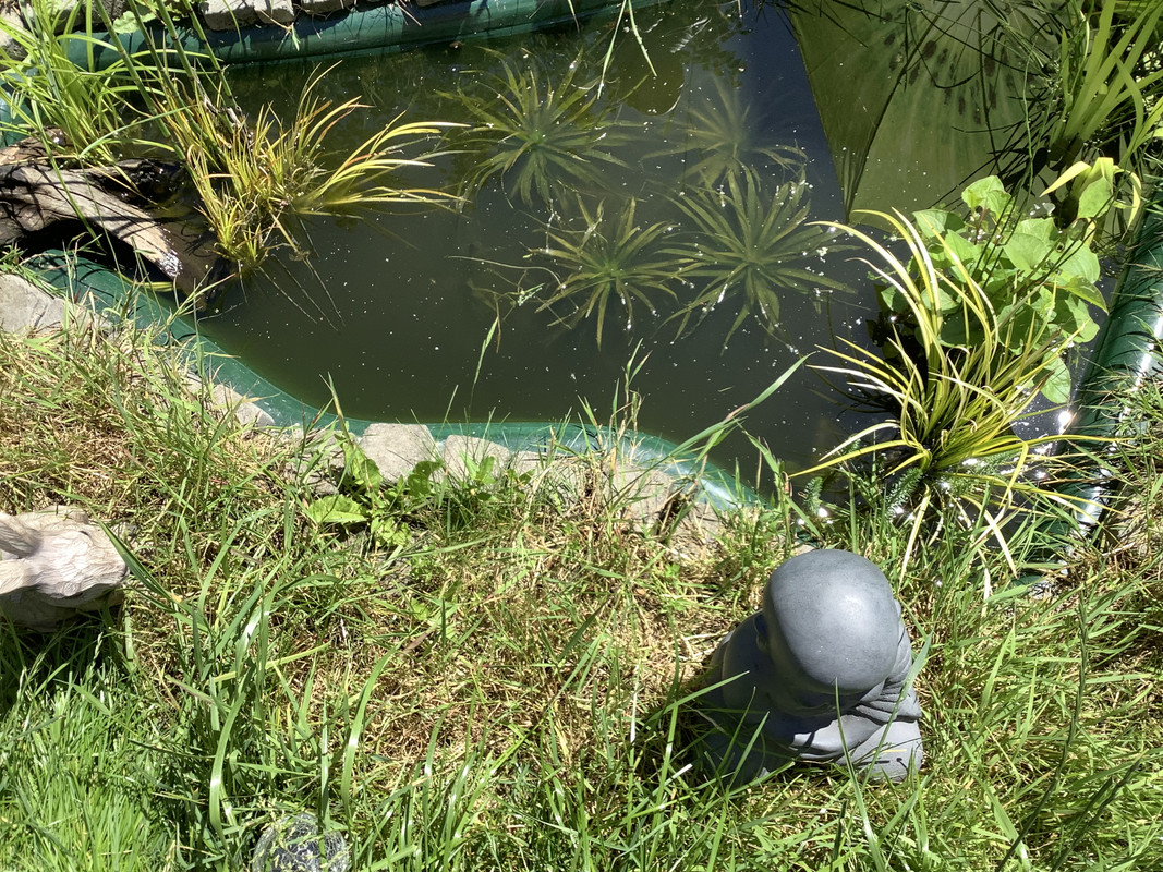 489EAA7E-244F-4892-BFD7-5DA3246CA12F