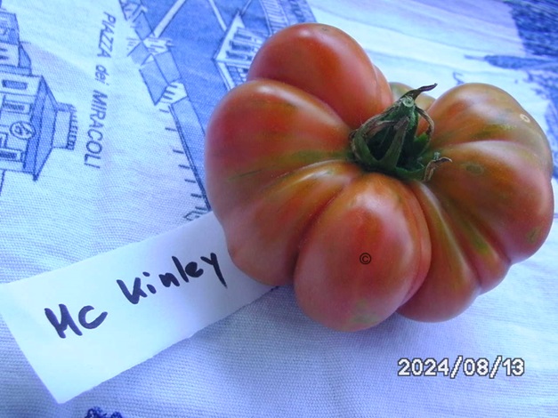 [Bild: BILD0328.jpg]