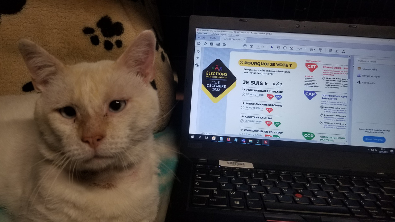 Convalescence Cali 2