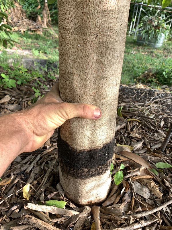 355BB566-630D-43B4-BFBF-4EB6533C76D3