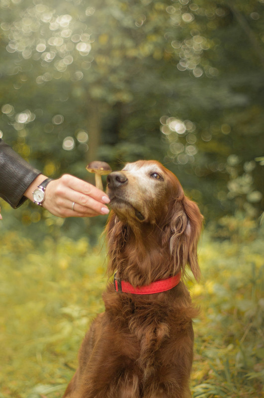 201D502D-7C70-4285-9668-BFD07588DF2D