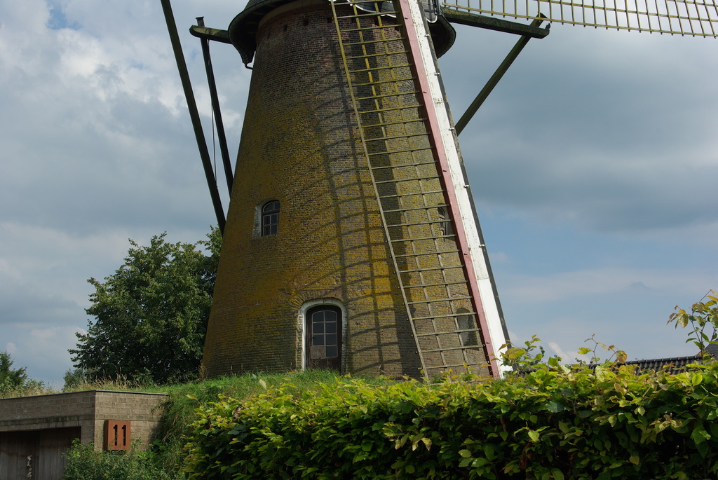 (15201) Heimeulen - Meerle 07