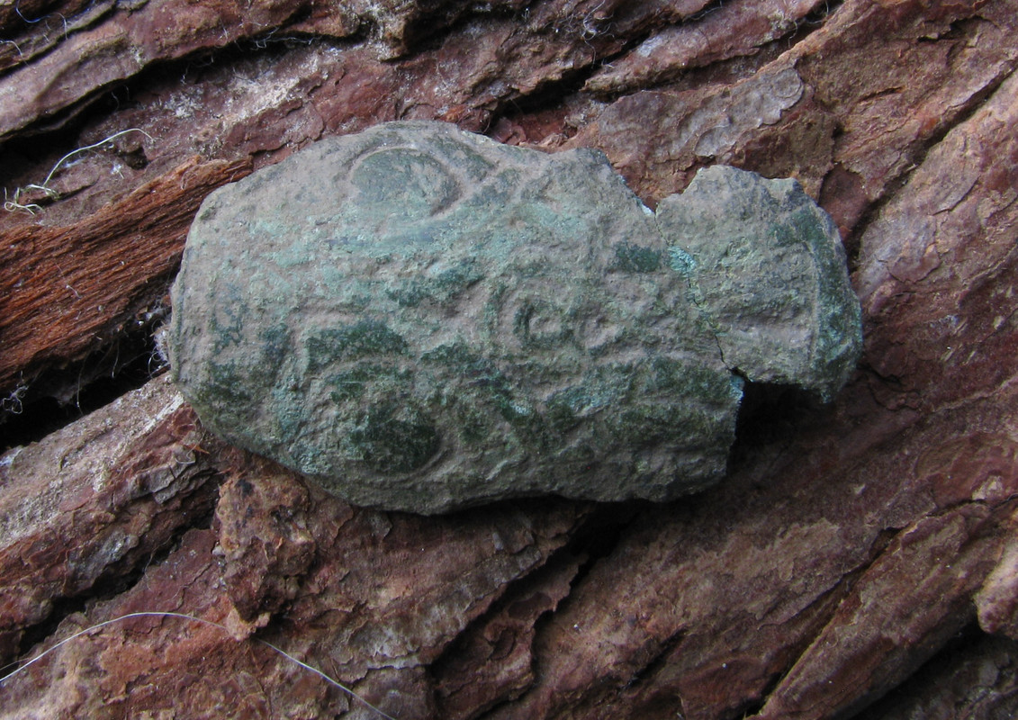 IMG_0780