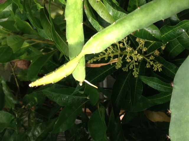 photo 2(13)