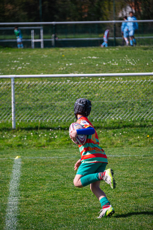 tournoi-de-latlantique-2026-adonis-griffon-176-55181447758-l