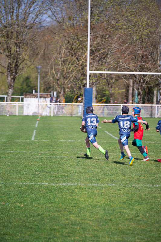 tournoi-de-latlantique-2026-adonis-griffon-173-55181686935-l