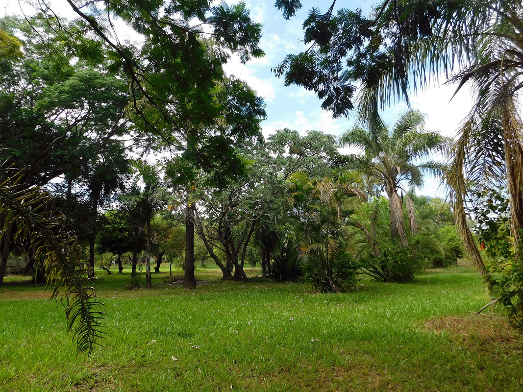 DSCN0491.jpg