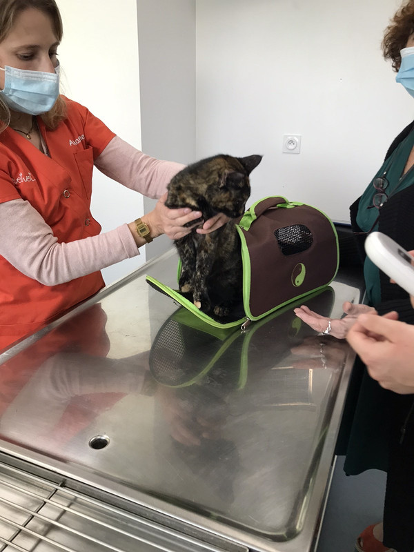 F75760B3-41FA-4220-BFA1-D050207FA1A0